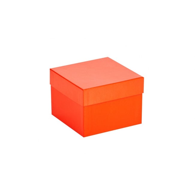 Ratiolab Cardboard Cryo Boxes With Water