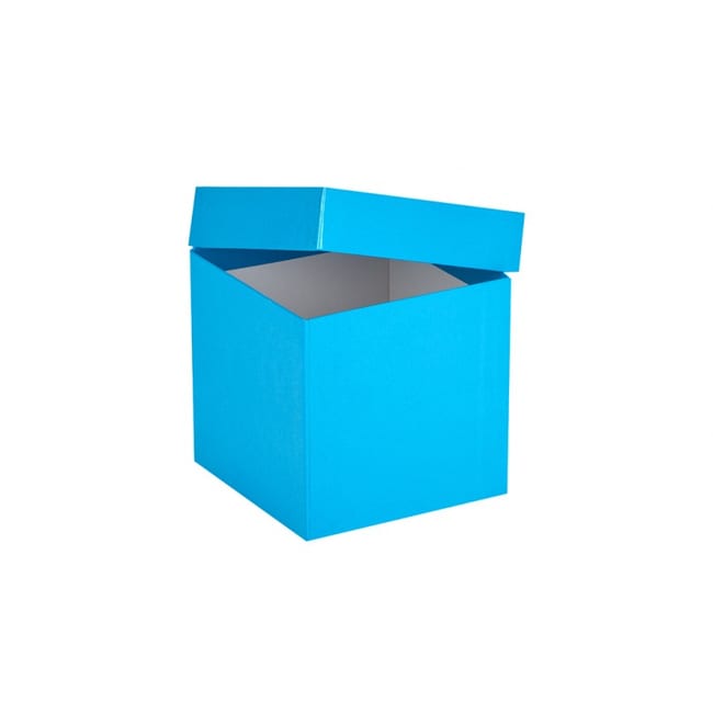 Ratiolab Cardboard Cryo Boxes With Water