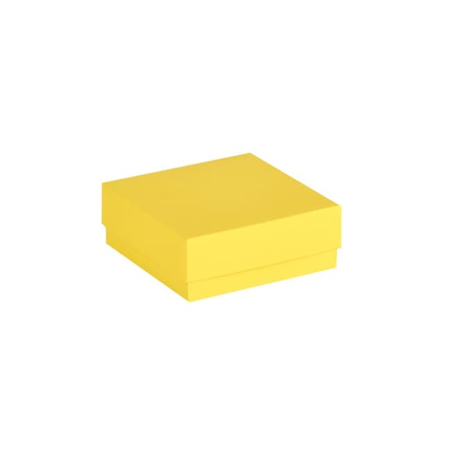 Ratiolab Cardboard Cryo Boxes With Water