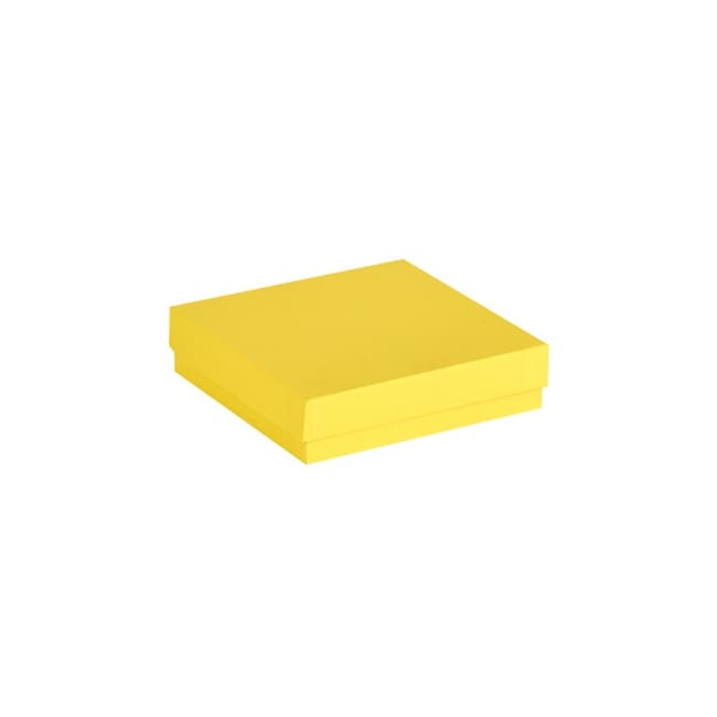 Ratiolab Cardboard Cryo Boxes With Water