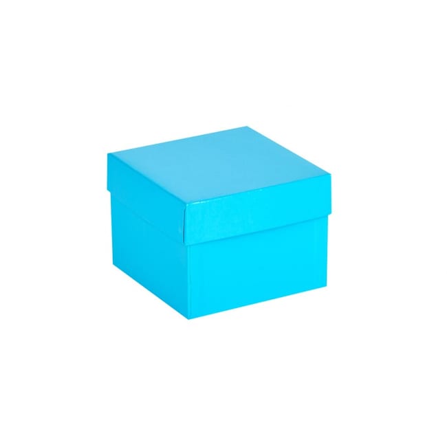 Ratiolab Cardboard Cryo Boxes With Water