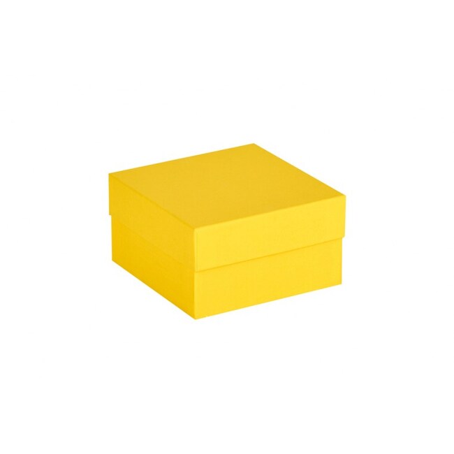 Ratiolab Cardboard Cryo Boxes With Water