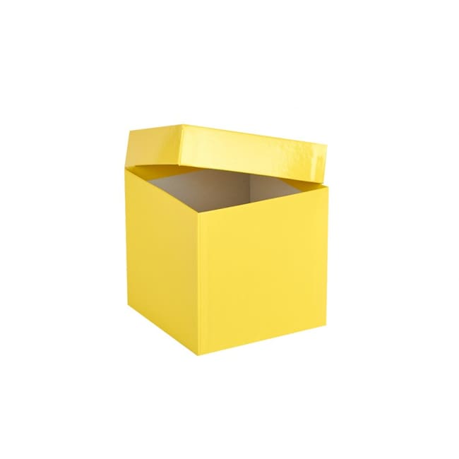 Ratiolab Cardboard Cryo Boxes With Water