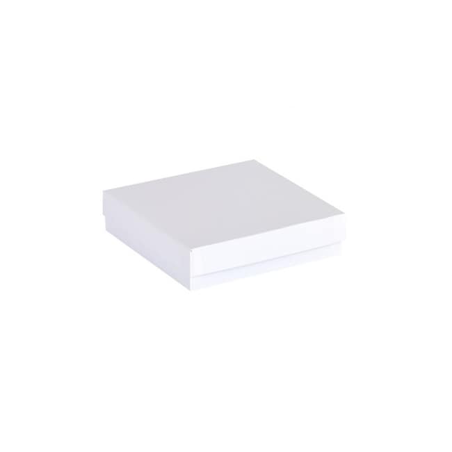 Ratiolab Cardboard Cryo Boxes With Water
