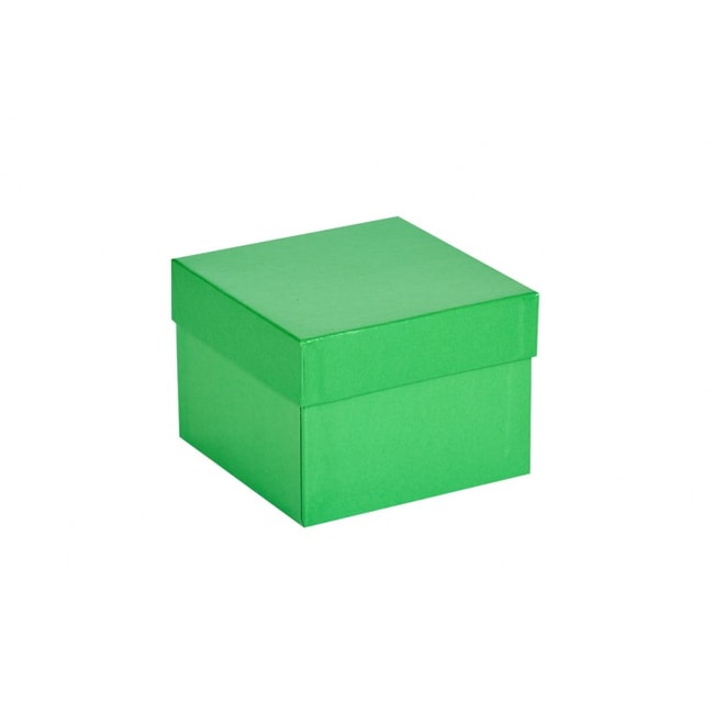 Ratiolab 136 X 136 mm Kryoboxen aus Kart