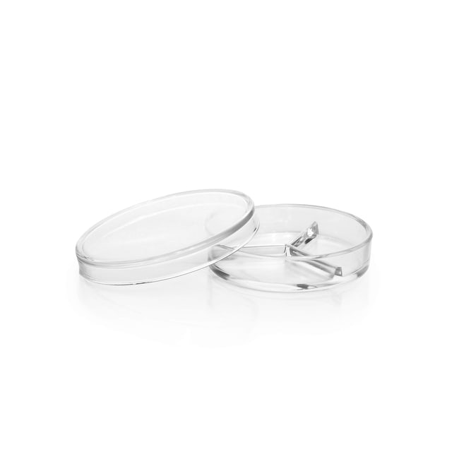 X10 DURAN Petri dish, three-sectional, 1