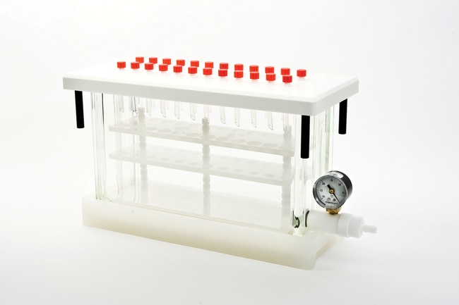 Thermo Scientific HyperSepTM Glasblock-V
