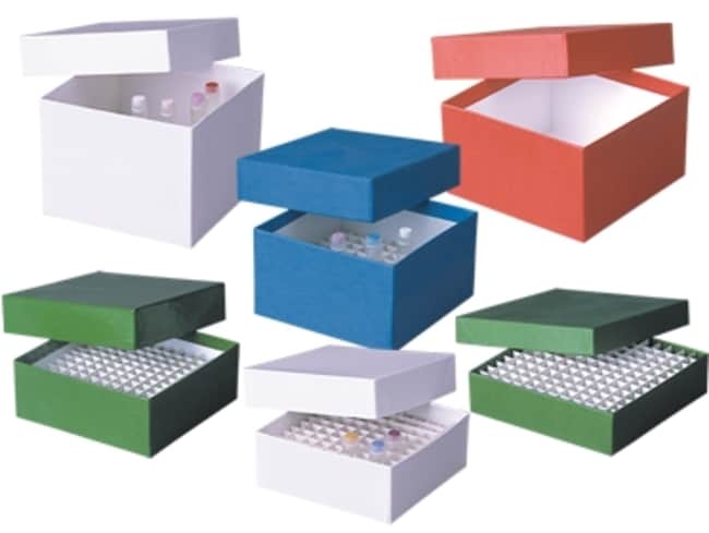 X10 Plastic-Coated Cardboard CryoBox, Ye