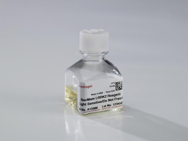 15 ML BACMAM LRRK2 REAGENT 15ML
