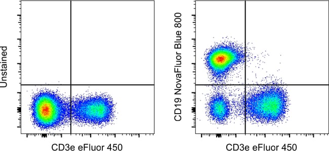 MO CD19 EBIO1D3 NB 800 KIT MAB 100 µg