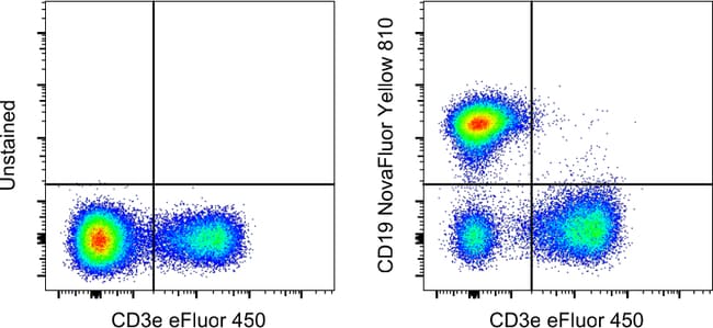 MO CD19 EBIO1D3 NY 810 KIT MAB 100 µg