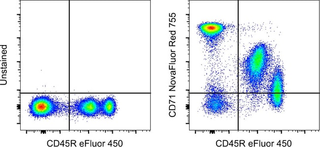MO CD71 R17217 NR 755 KIT MAB 100 µg