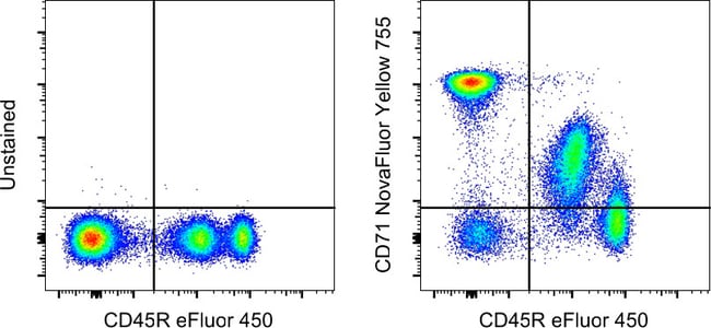 MO CD71 R17217 NY 755 KIT MAB 100 µg