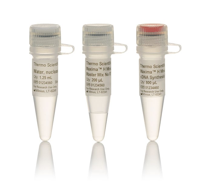 200RXN Maxima H Minus cDNA Synthesis Mas