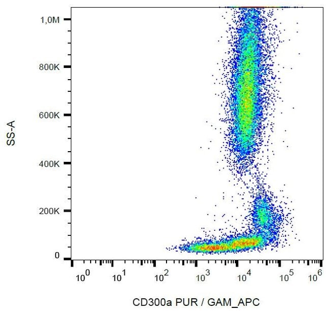 Anti-CD300a Monoclonal Antibody
