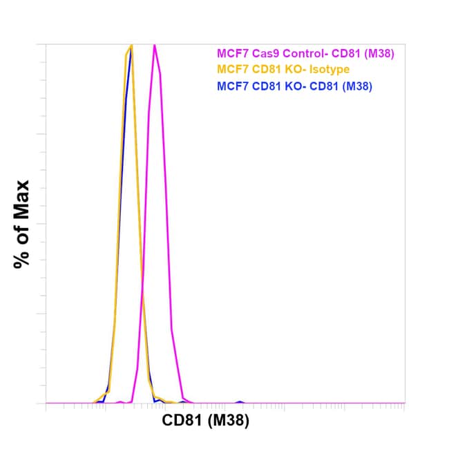 Anti-CD81 Monoclonal Antibody,
