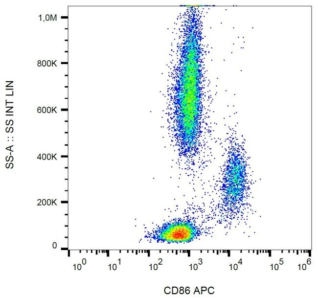 Anti-CD86 Monoclonal Antibody,