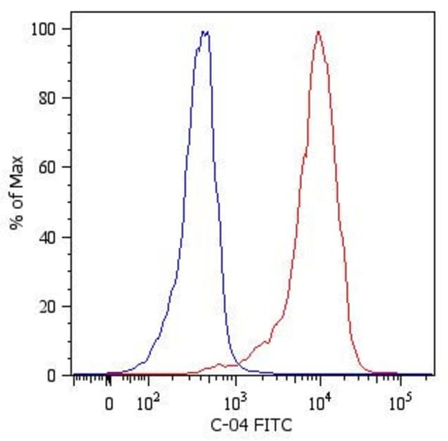 Anti-Cytokeratin 18 Monoclonal Antibody,