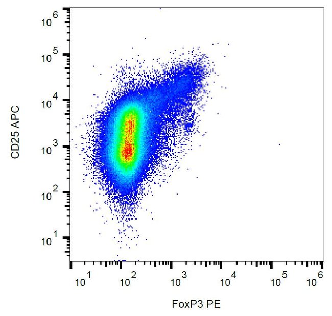 Anti-FoxP3 Monoclonal Antibody,
