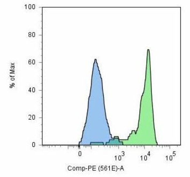 Anti-GCPII / PSMA Monoclonal