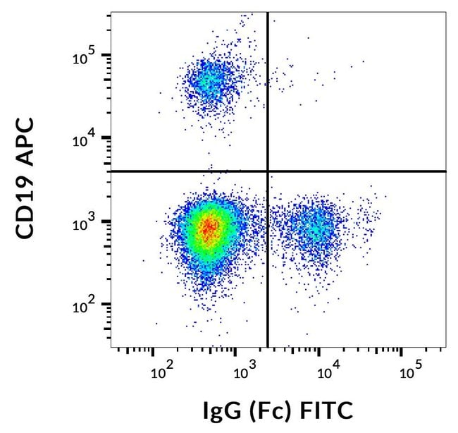 Anti-IgG (Fc) Monoclonal Secondary