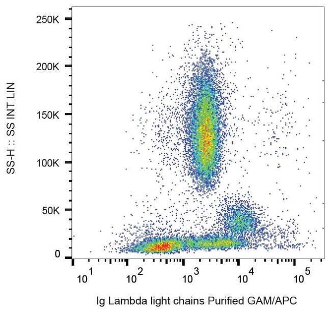 Anti-Lambda light chains Monoclonal