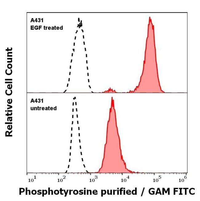 Anti-Phosphotyrosine Monoclonal Antibody