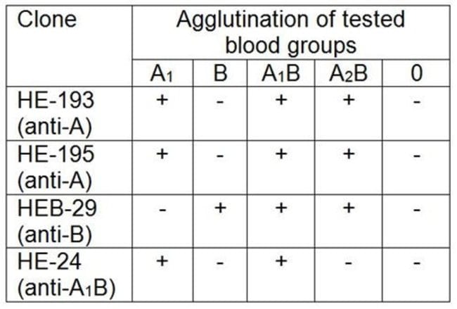 1 ML Blood Group A1B Antigen Mouse monoc