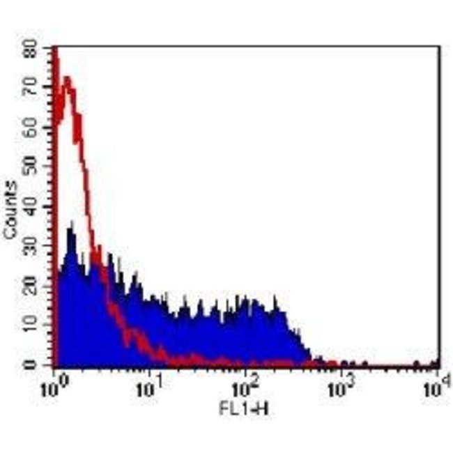 50UG M13 Monoclonal Antibody, Biotin con