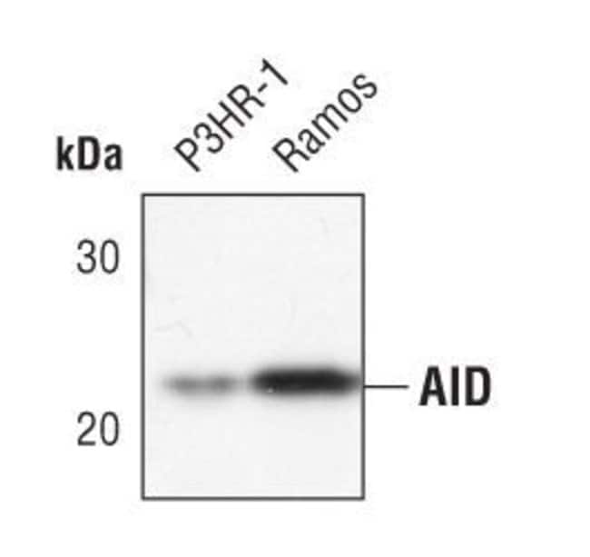 AID, 100 µL