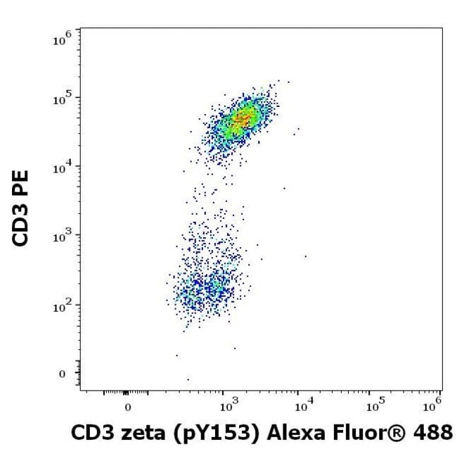 100UG PHOSPHO-CD247 (CD3 ZETA) (LYS1