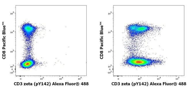 100UG PHOSPHO-CD247 (CD3 ZETA) (LYS1
