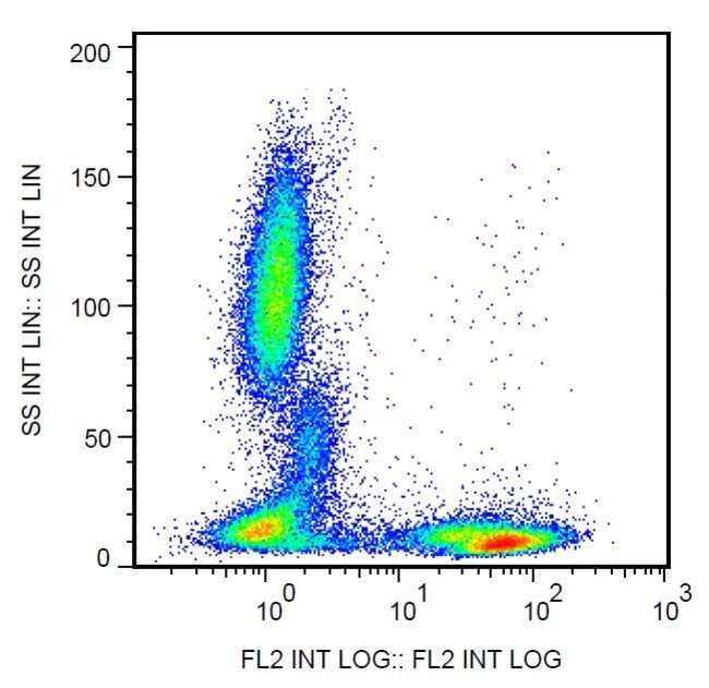 100UG CD5 ANTIBODY BIOTIN