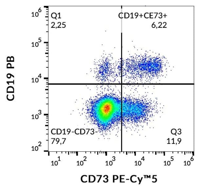 100TEST CD73 ANTIBODY PE-CYANINE5