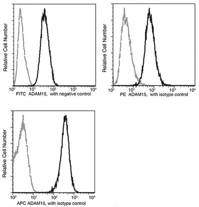 100TEST ADAM15 ANTIBODY PE