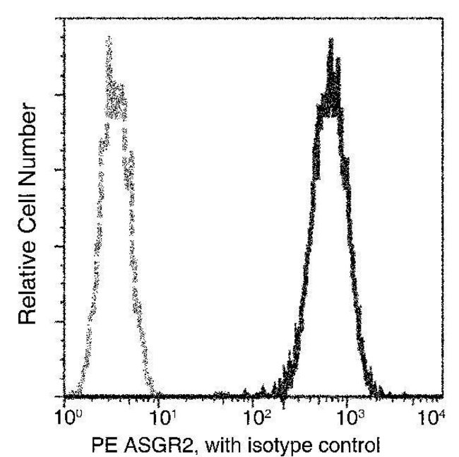 100TEST ASGR2 ANTIBODY PE