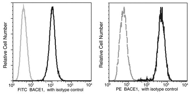 100TEST BACE1 ANTIBODY FITC