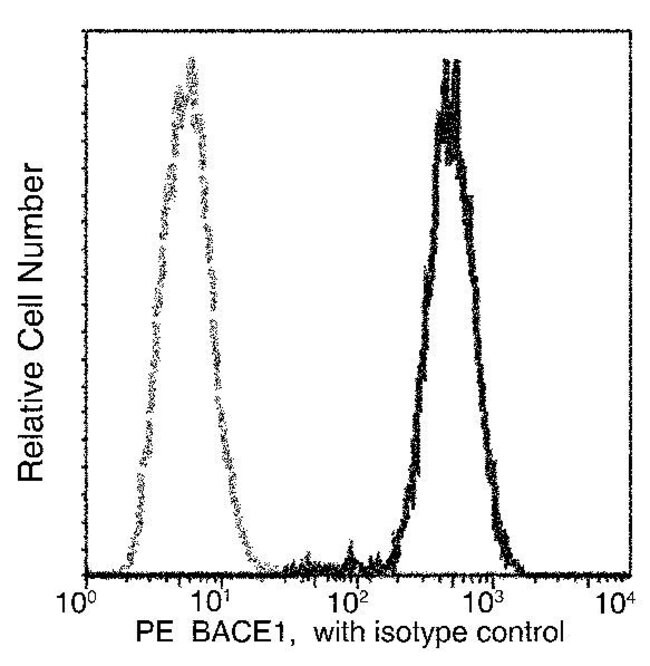 100TEST BACE1 ANTIBODY PE