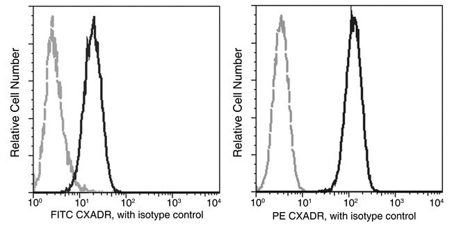 100TEST CAR ANTIBODY PE