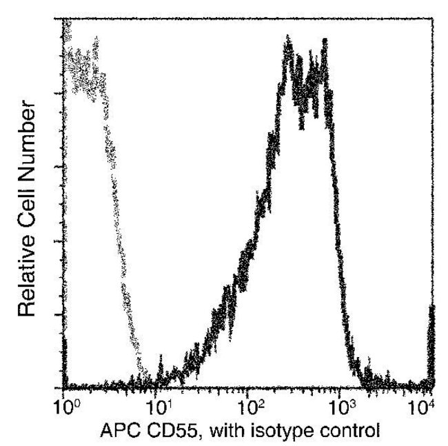100TEST CD55 ANTIBODY APC