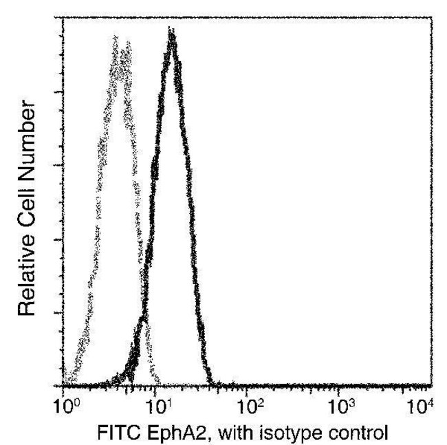 100TEST EPHA2 ANTIBODY FITC