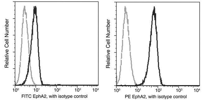 100TEST EPHA2 ANTIBODY PE