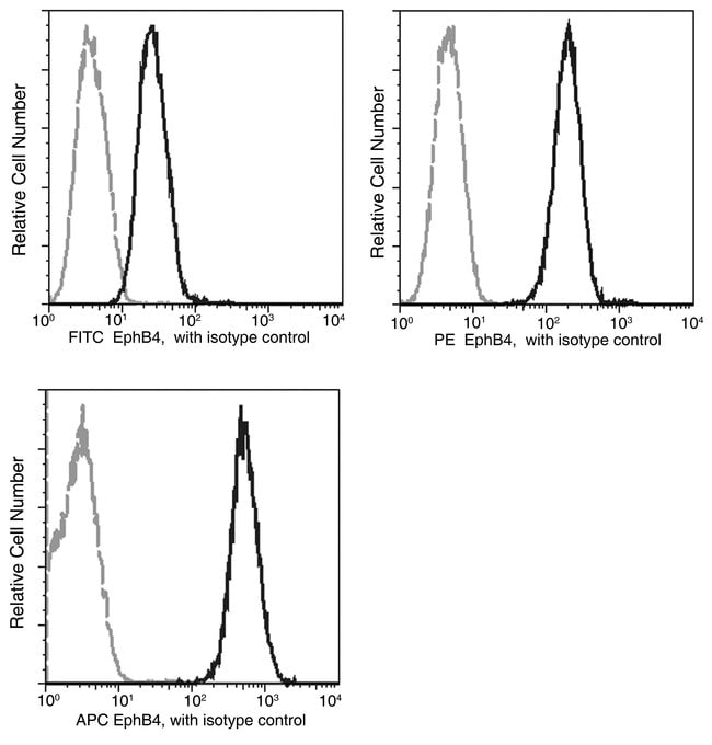 100TEST EPHB4 ANTIBODY PE
