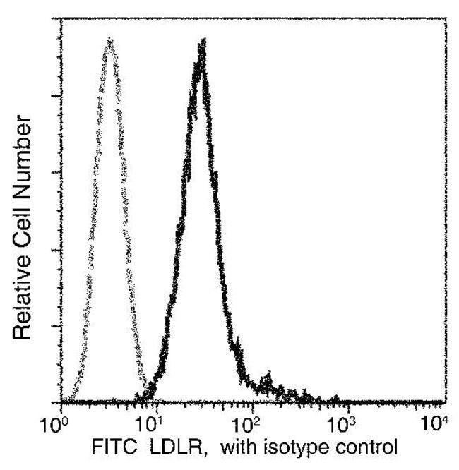 100TEST LDLR ANTIBODY FITC