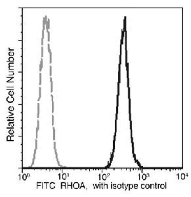 100TEST RHOA ANTIBODY FITC
