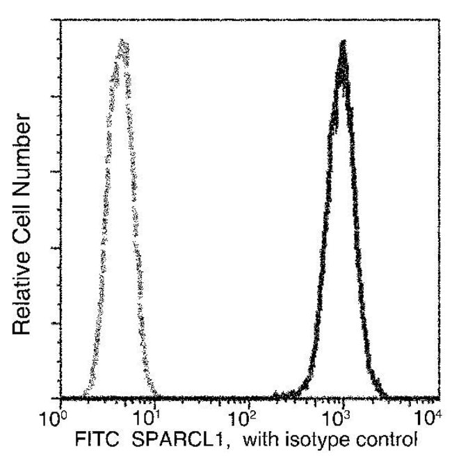 100TEST SPARCL1 ANTIBODY FITC