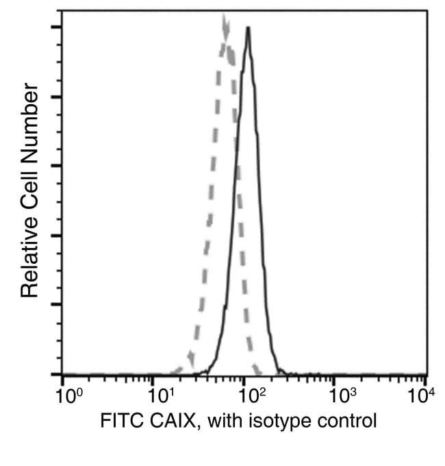100TEST CARBONIC ANHYDRASE IX ANTIBODY