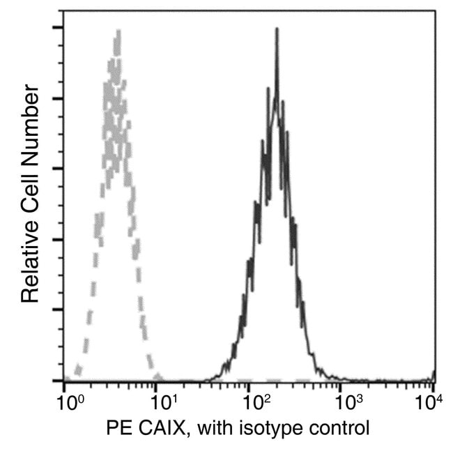100TEST CARBONIC ANHYDRASE IX ANTIBODY