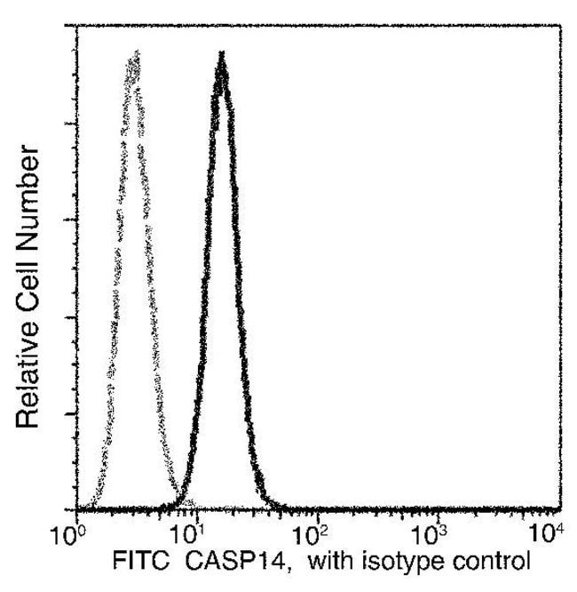 100TEST CASPASE 14 ANTIBODY FITC
