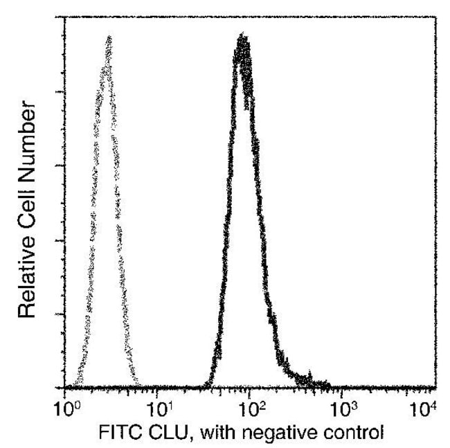 100TEST CLUSTERIN ANTIBODY FITC